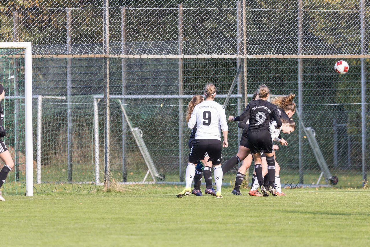 Bild 201 - F SV Henstedt Ulzburg2 - FSG Kaki-StuSie : Ergebnis: 2:2